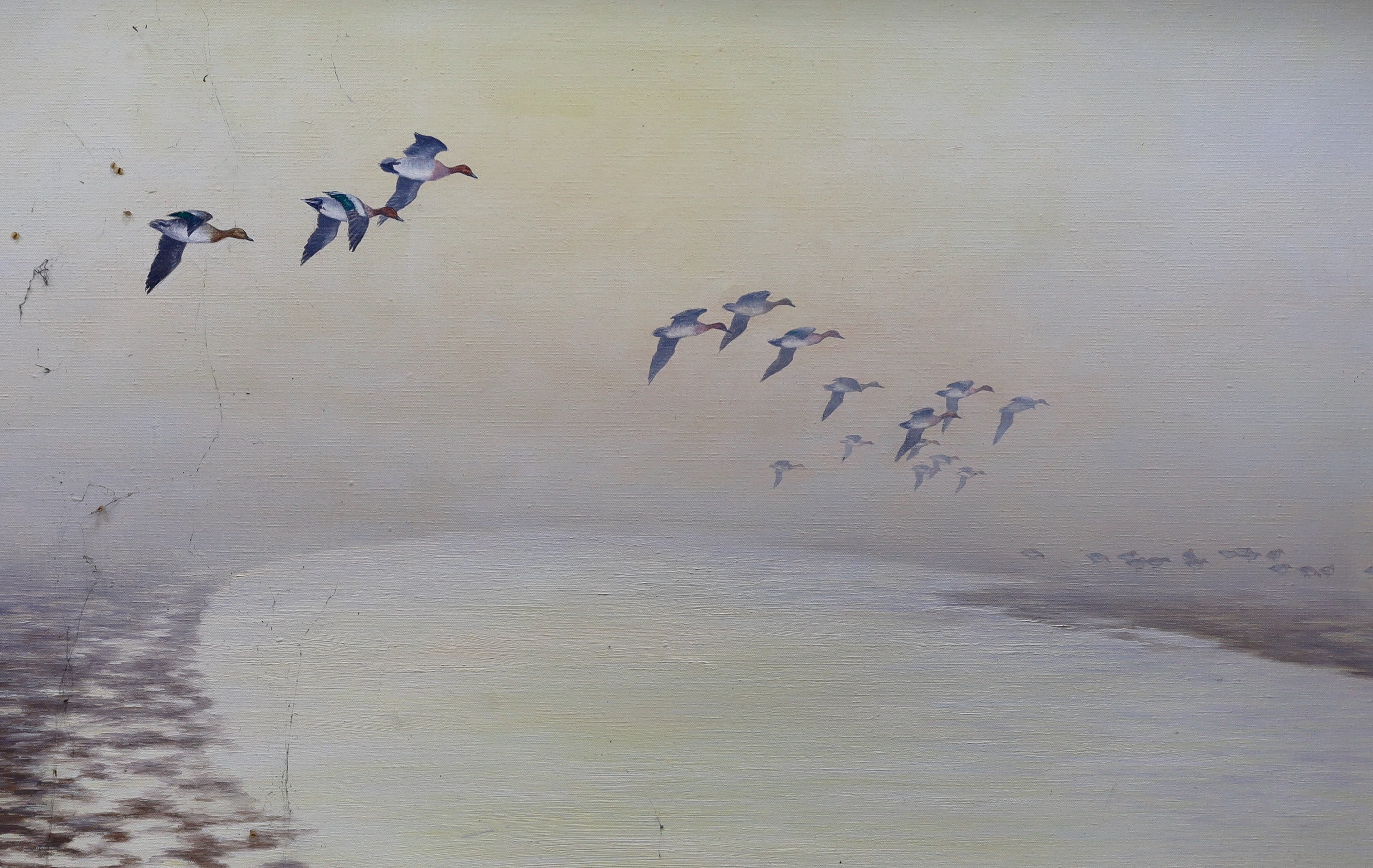 Geoffrey Campbell-Black (b.1925), oil on canvas, Ducks in flight, signed, 39 x 61cm